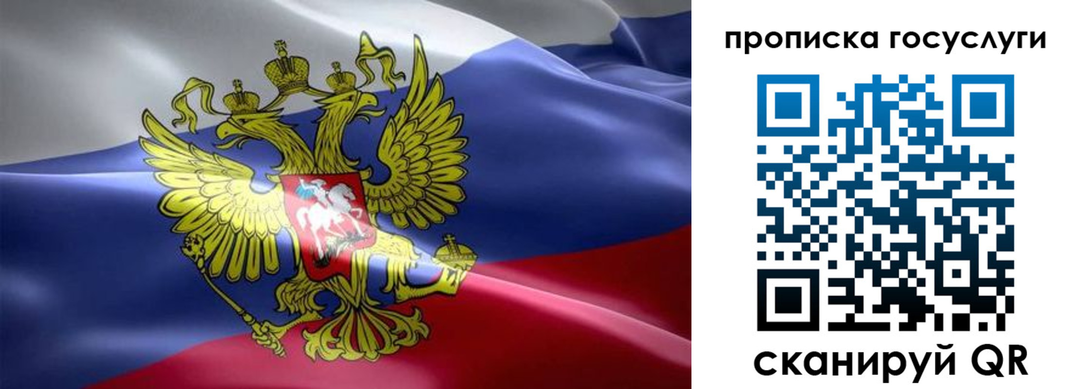 прописка законно в Кировске